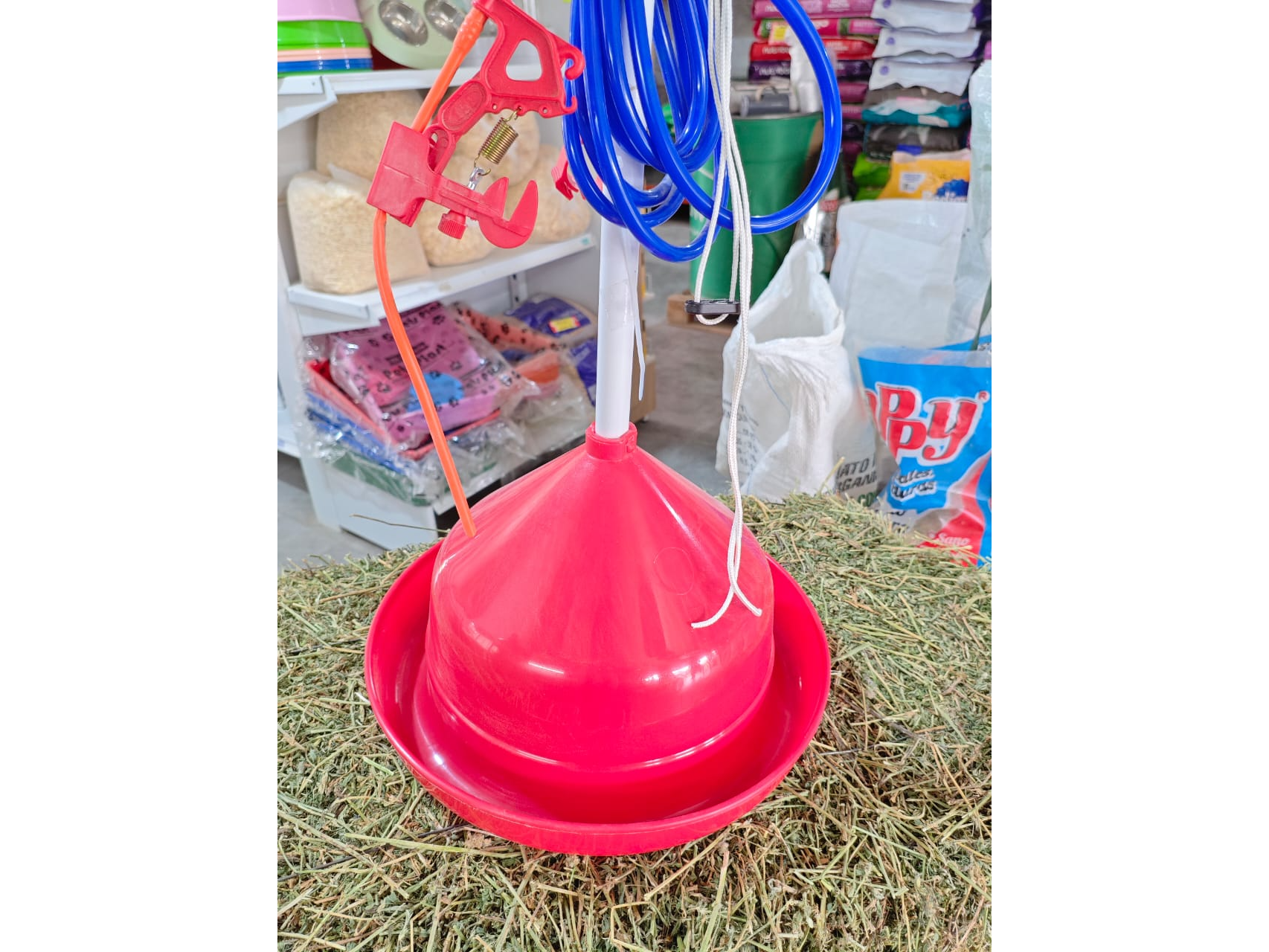 Bebedero automático