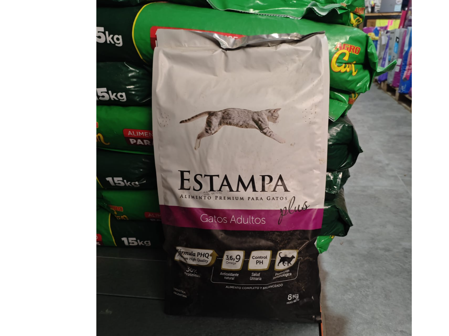 Estampa Plus Gatos