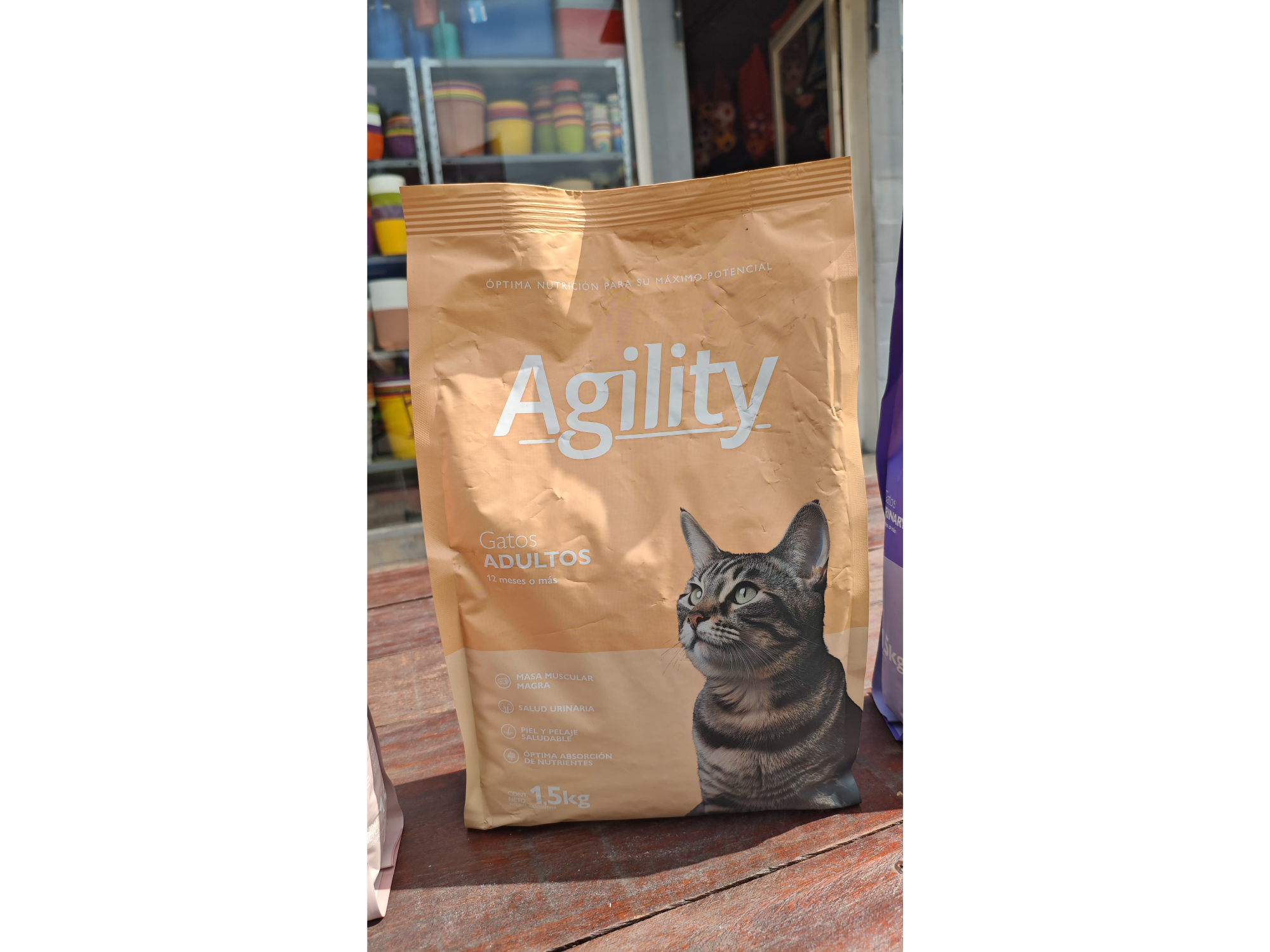 AGILITY Cats ADULTOS