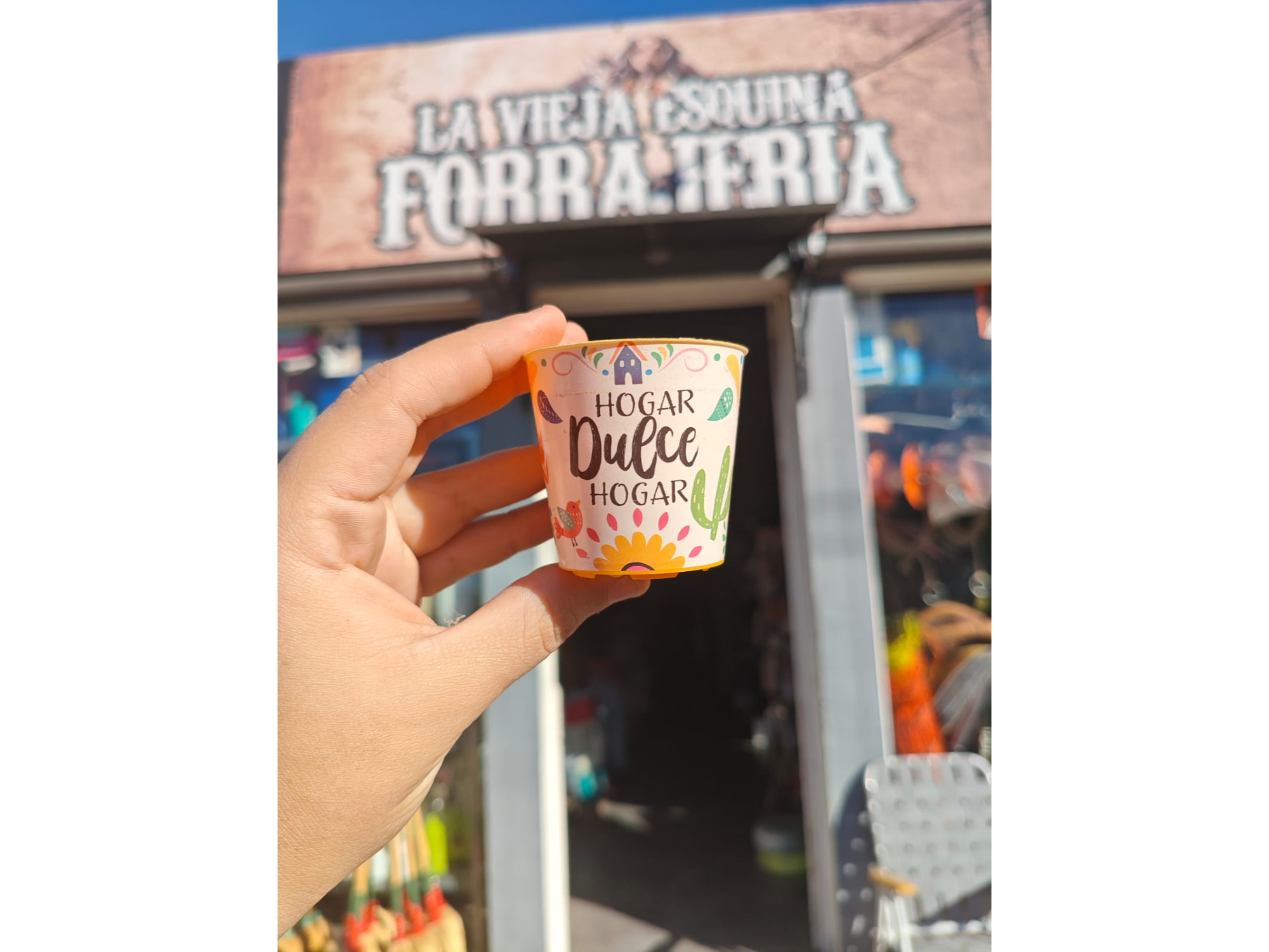 Maceta Decorada