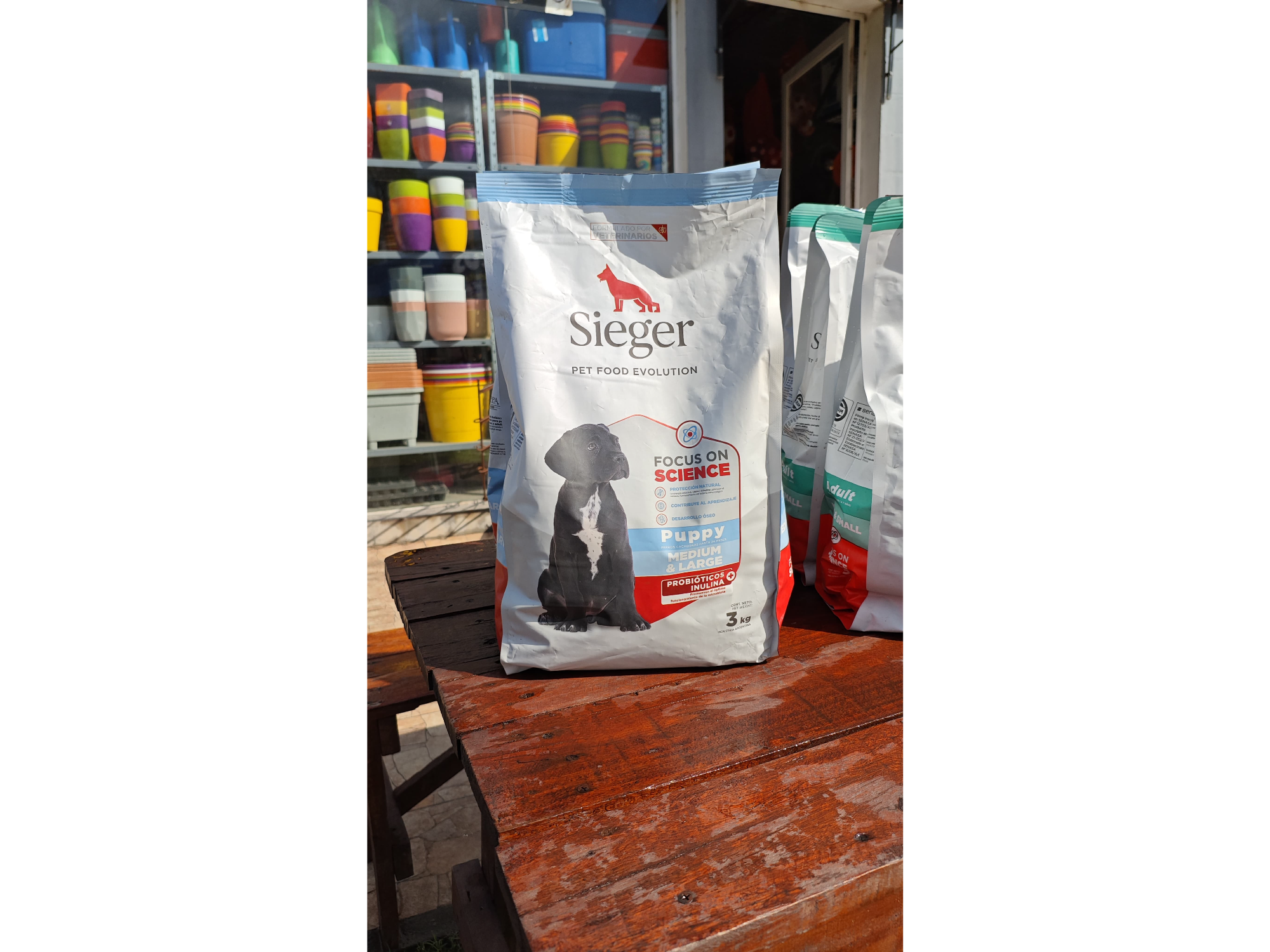 Sieger Puppy Mediana y grande