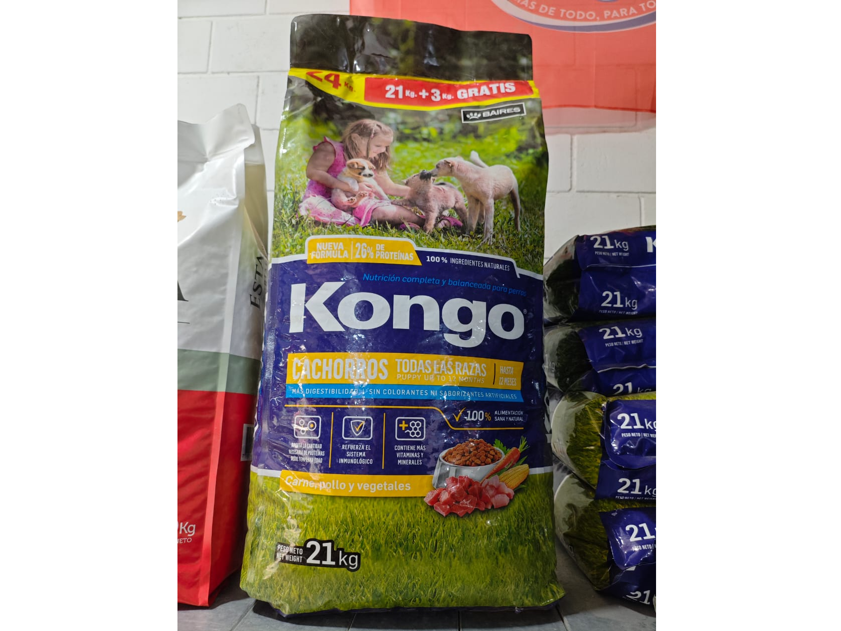 Kongo Cachorro