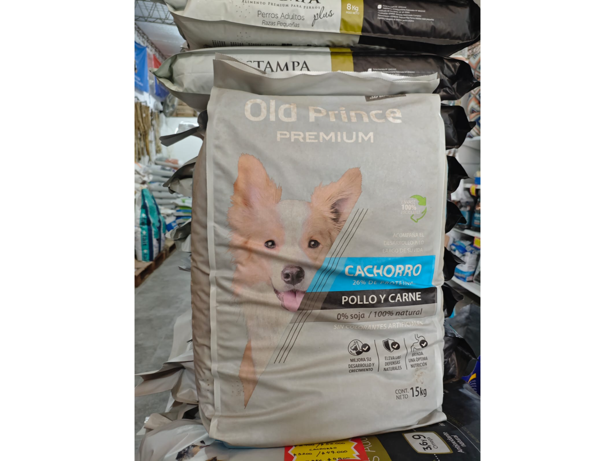 Old Prince cachorro