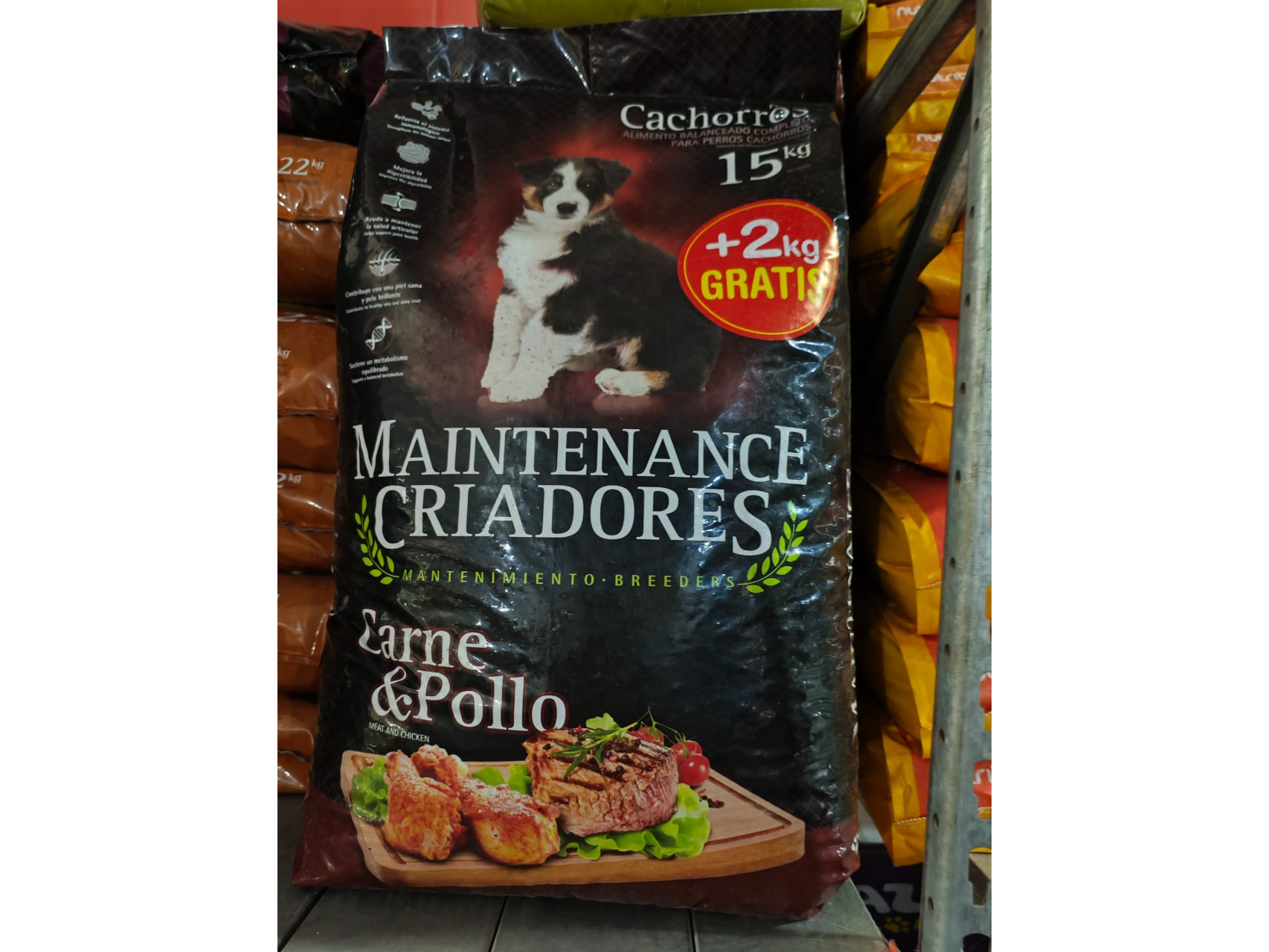 Maintenace cachorro