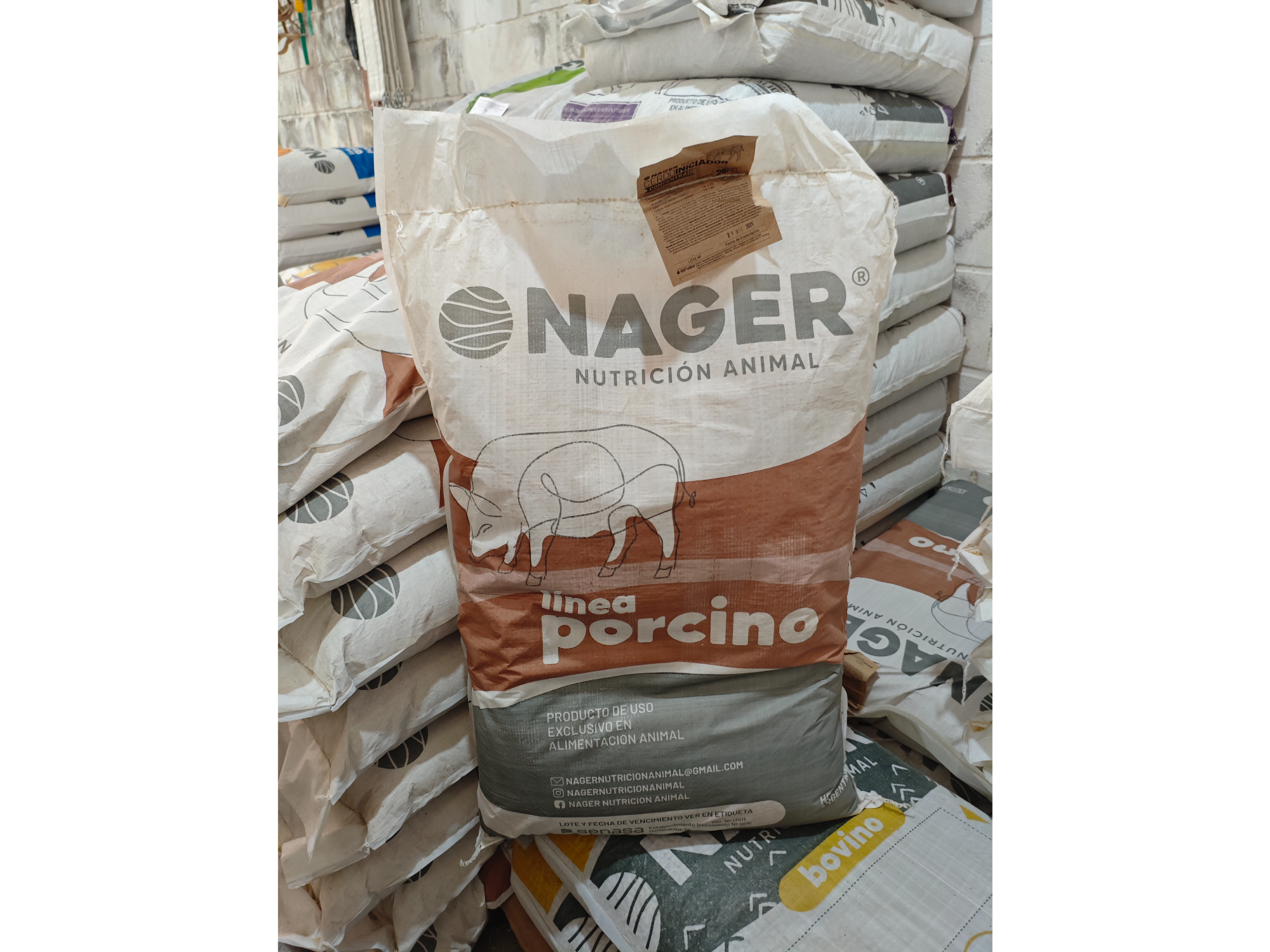 Porcino iniciador concentrado