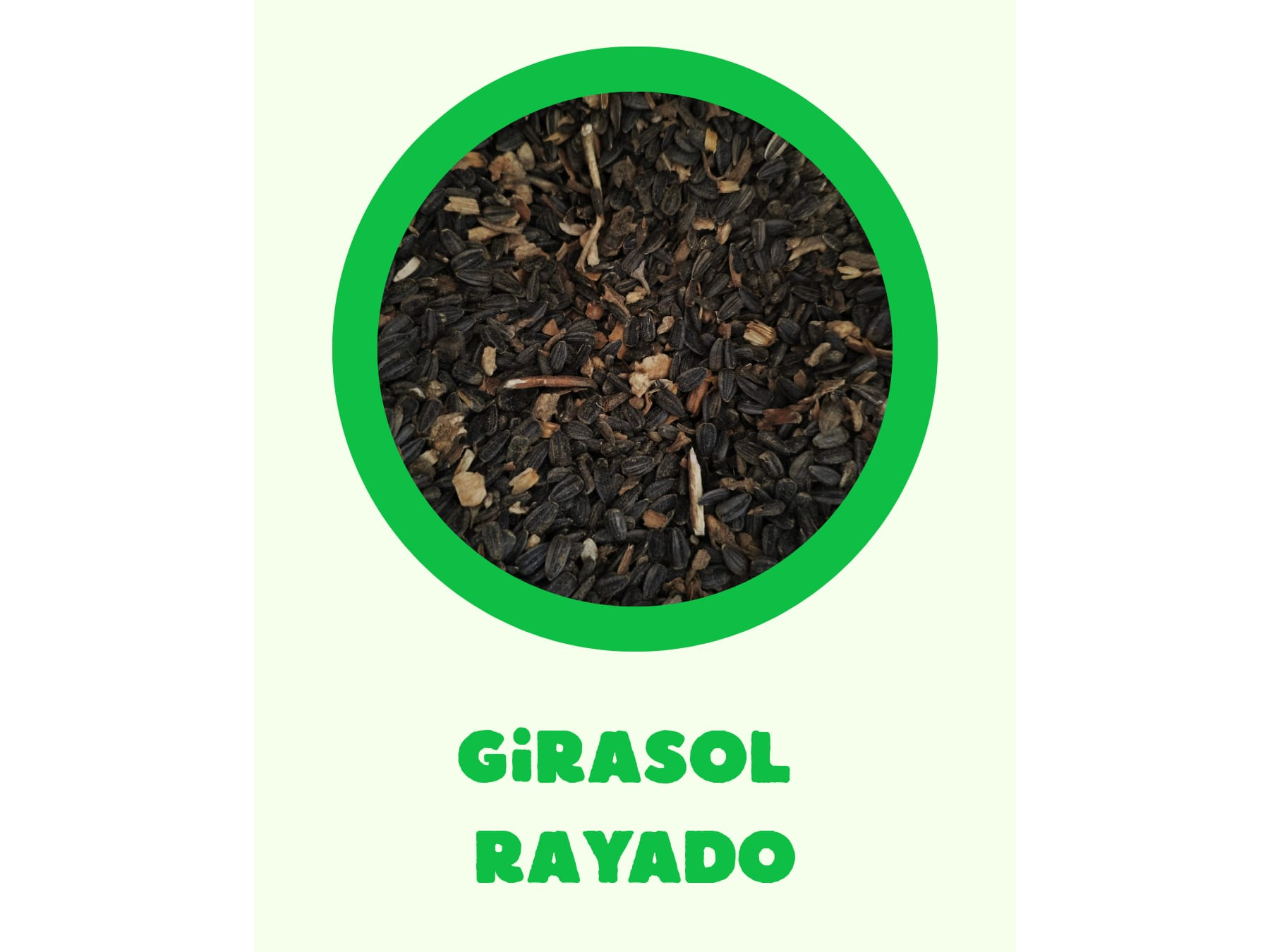 Girasol rayado