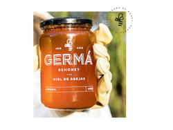 Miel liquida GERMÁ X 250gs frasco vidrio