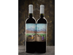 Desfachatados Cabernet Franc 2022