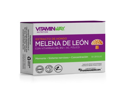 Melena de leon VITAMINWAY