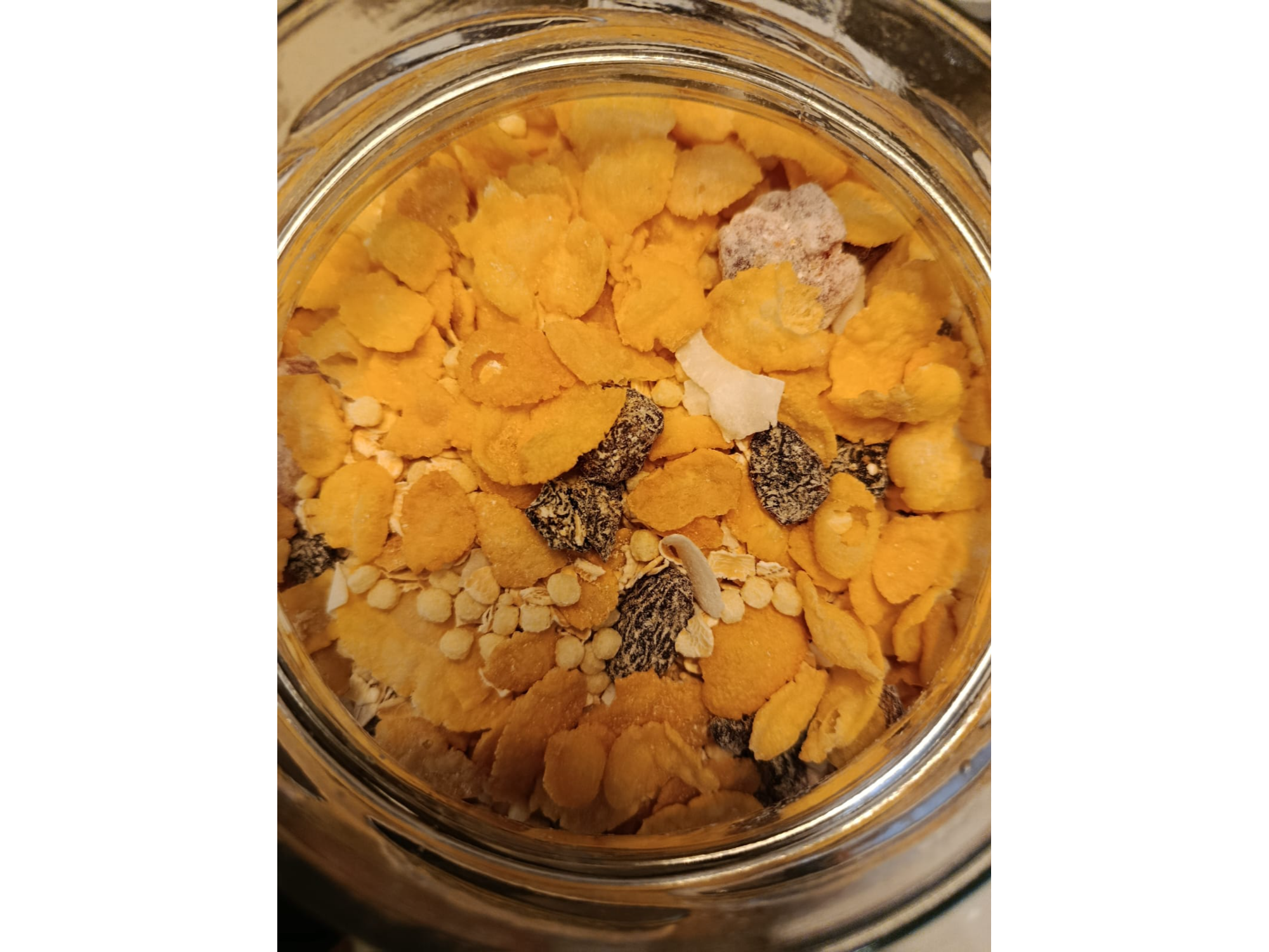 Granola sin azucar / Muesli