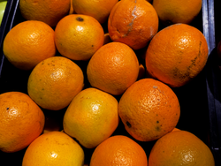NARANJA DE JUGO