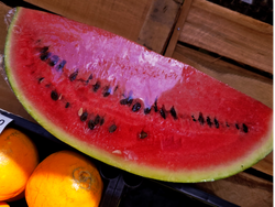 SANDIA