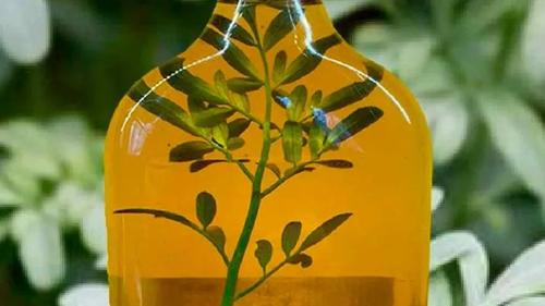 Caña con Ruda - Dia de la Pachamama