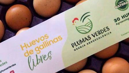 Huevos Agroecologicos