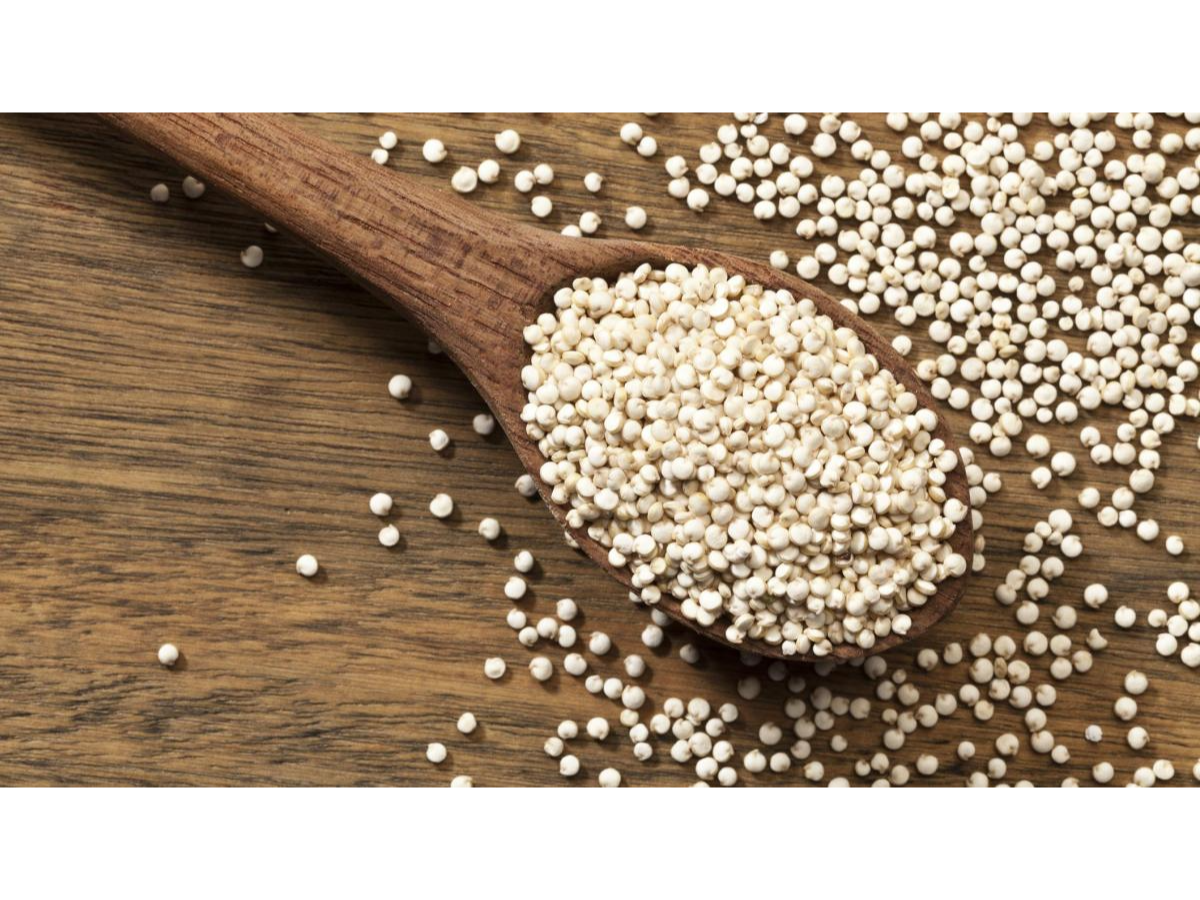 Semillas de Quinoa Blanca