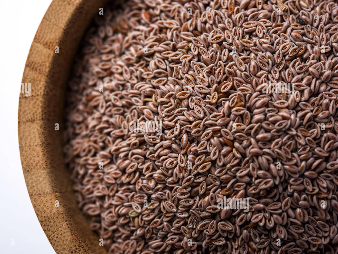 Semillas de Psyllium