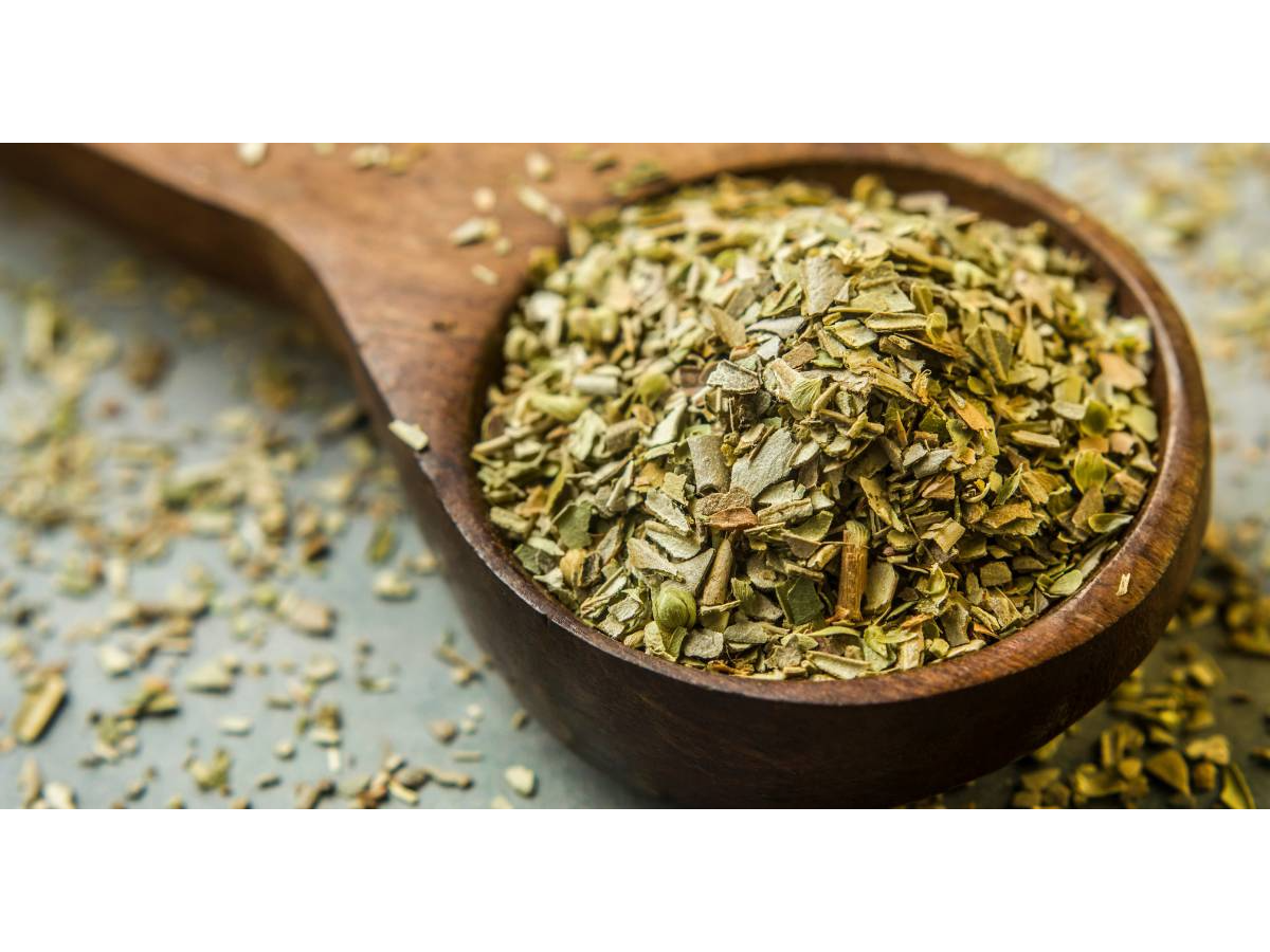 Oregano