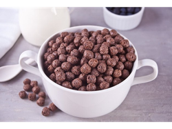 Bolitas de Chocolate