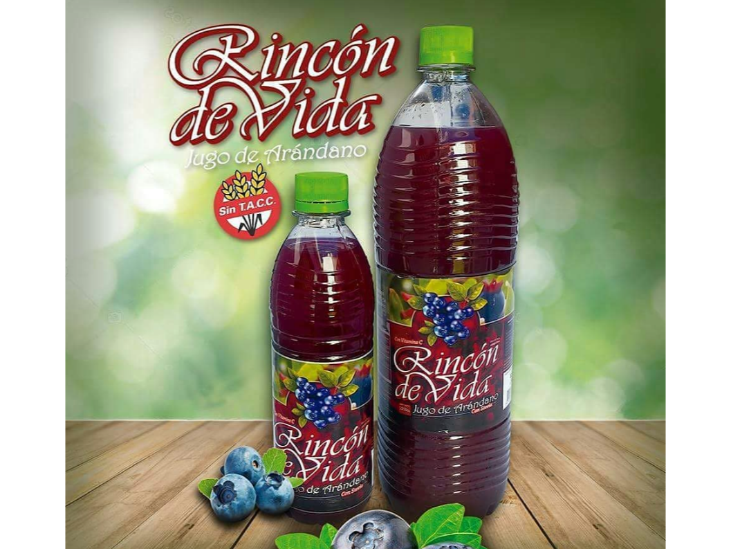 Jugo de Arandano Rincon de Vida 1.5 LT