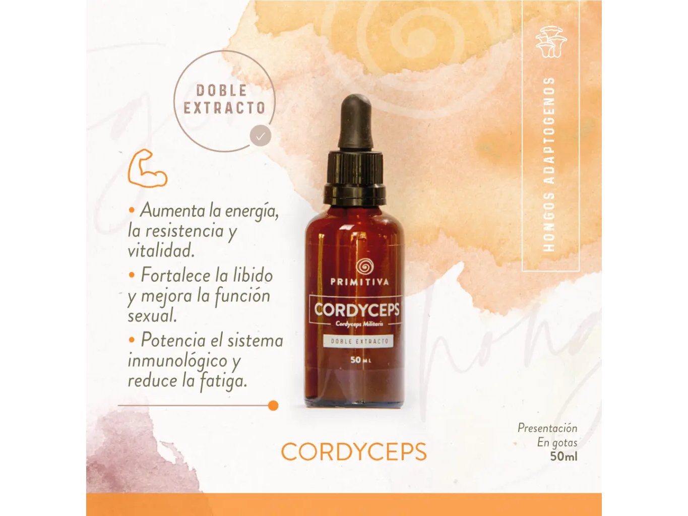 Cordyceps Primitiva 50 ML