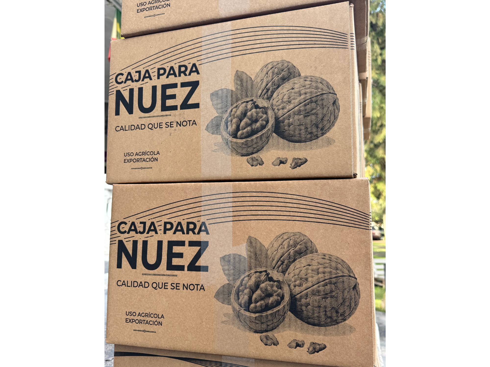 Nuez Chandler  mariposa extra light caja cerrada por 10kg