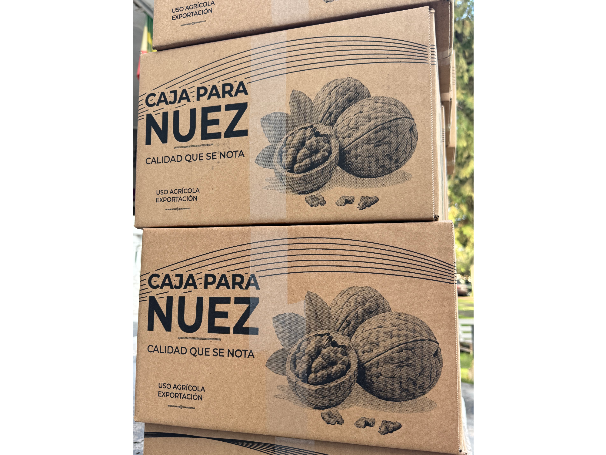 Nuez Chandler extra light caja de 10kg precio por kg por más de 10 cajas