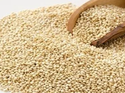 Quinoa Real
