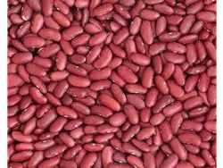 Poroto Colorado Organico