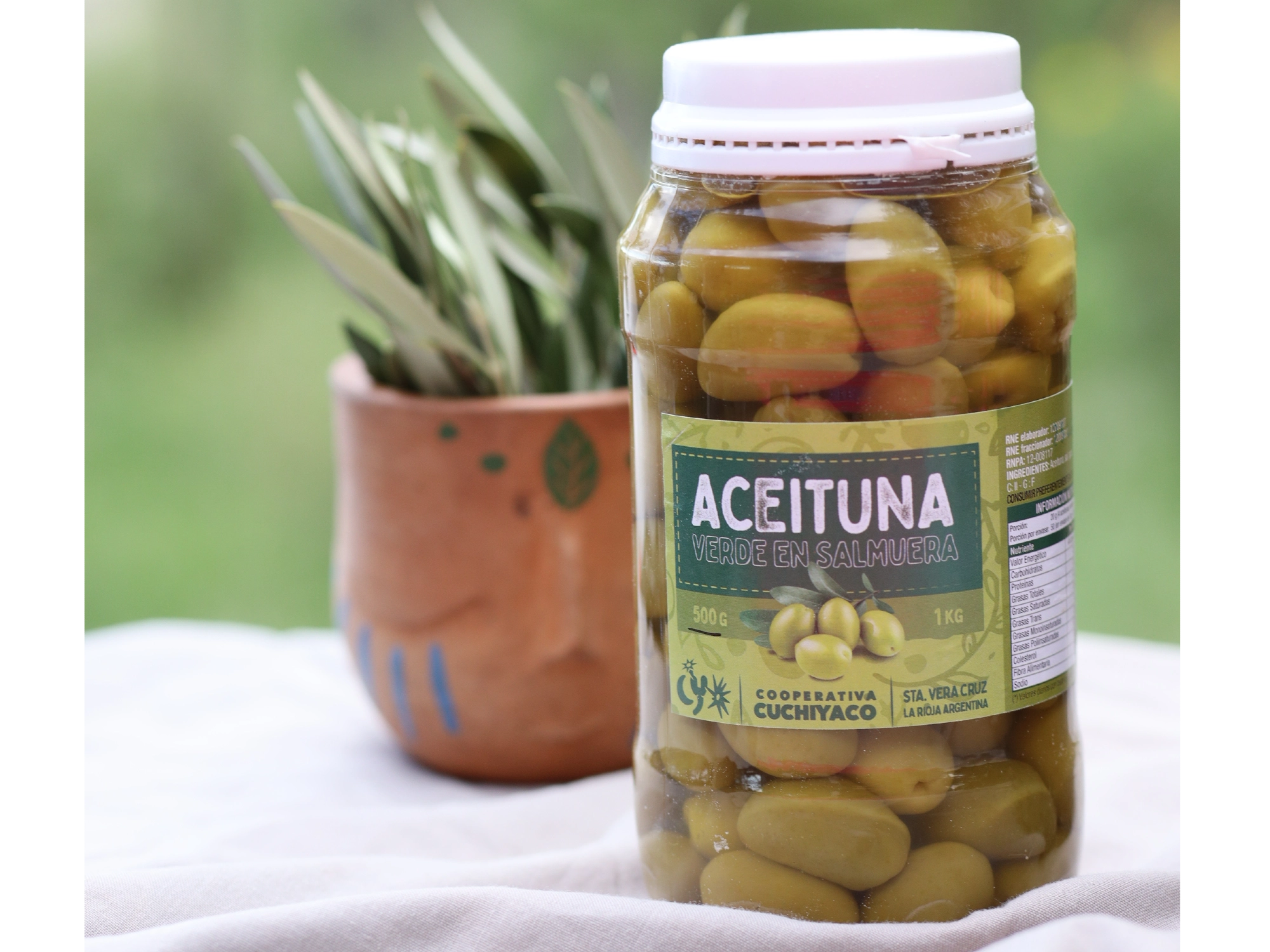 Aceitunas verdes 500 Gr