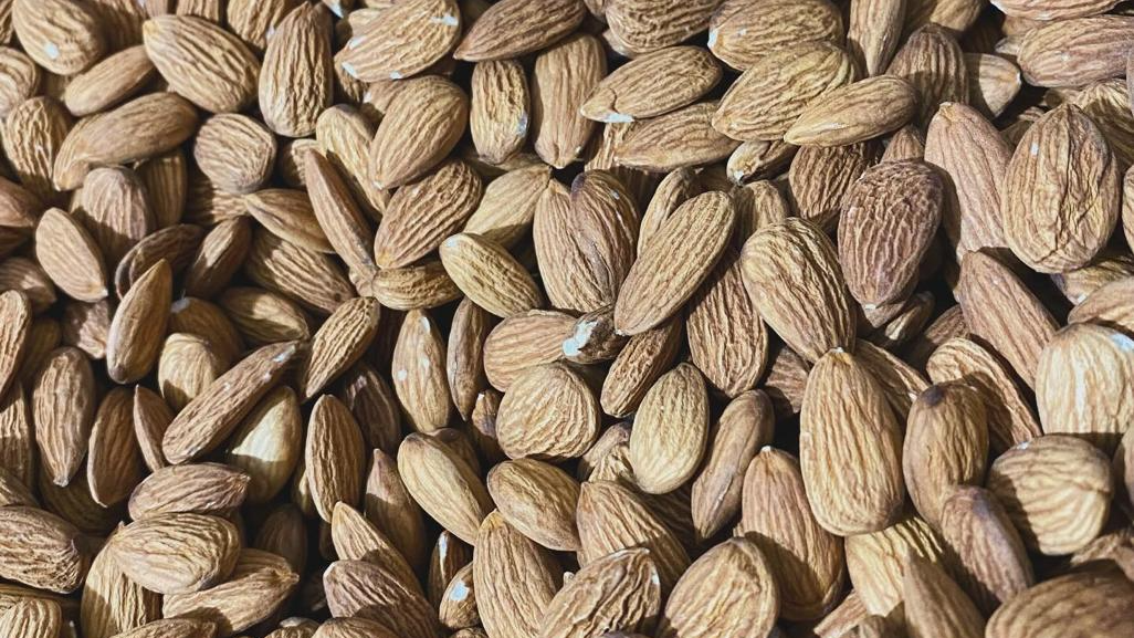 FRUTOS SECOS