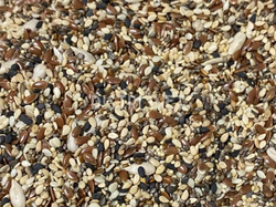 MIX DE SEMILLAS PARA ENSALADAS