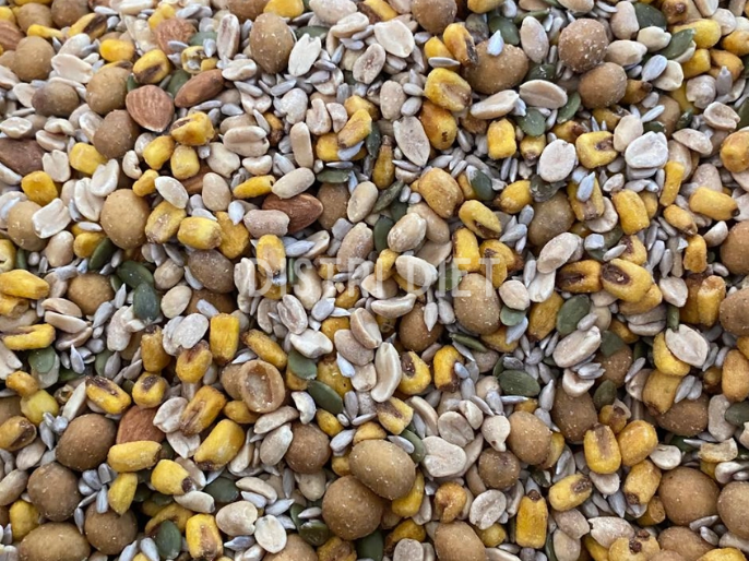 MIX SALADO CERVECERO