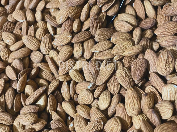 ALMENDRA NON PAREIL