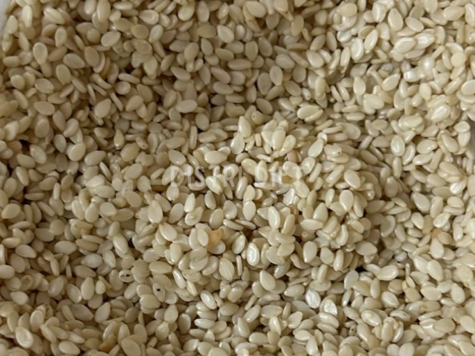 SEMILLA DE SESAMO BLANCO