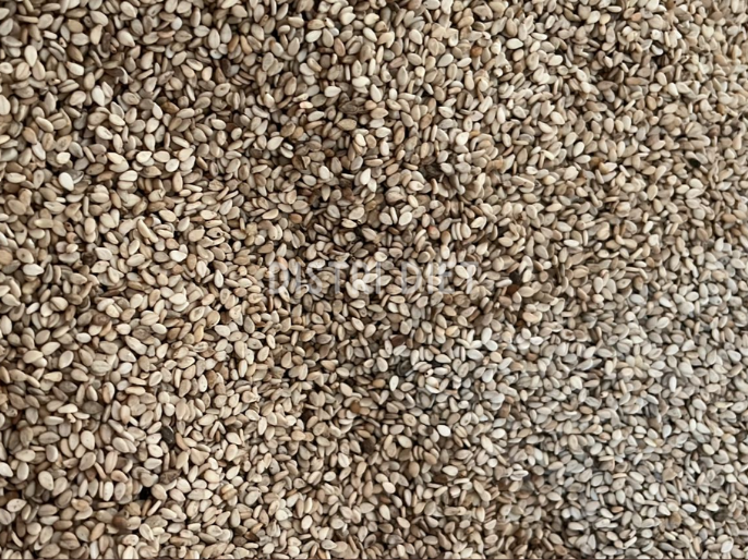 SEMILLA DE SESAMO INTEGRAL