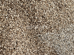 SEMILLA DE SESAMO INTEGRAL