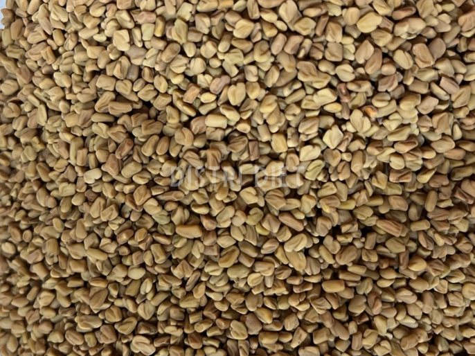 SEMILLA DE FENOGRECO 1 KG