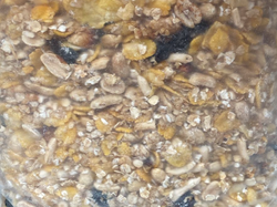 GRANOLA CON MIEL ECONOMICA