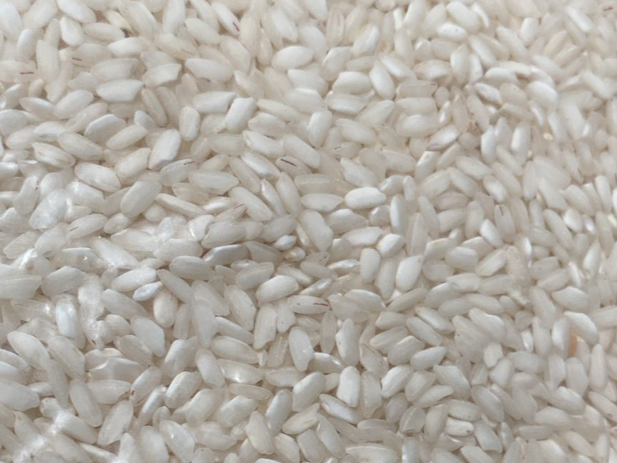 ARROZ CARNAROLI