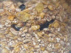 GRANOLA CON MIEL Y COCO ECONOMICA 1 KG