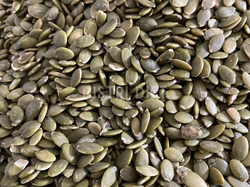 SEMILLA DE ZAPALLO