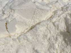 LECHE DE COCO EN POLVO 1 KG