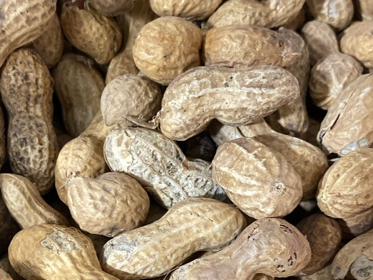 MANI CON CASCARA
