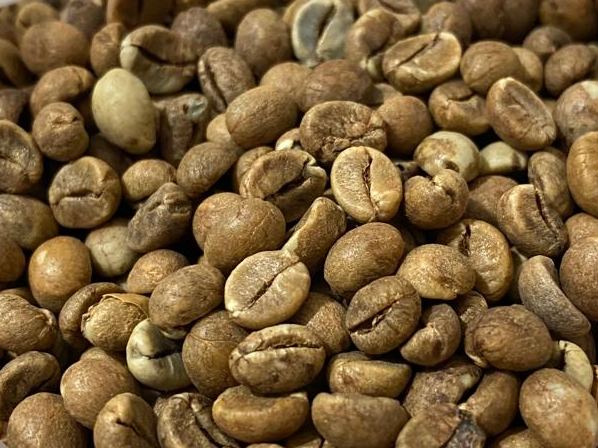 CAFE VERDE EN GRANO 1 KG