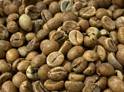 CAFE VERDE EN GRANO 1 KG