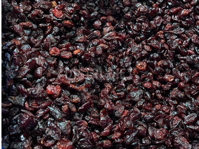 PASAS DE ARANDANOS ROJOS