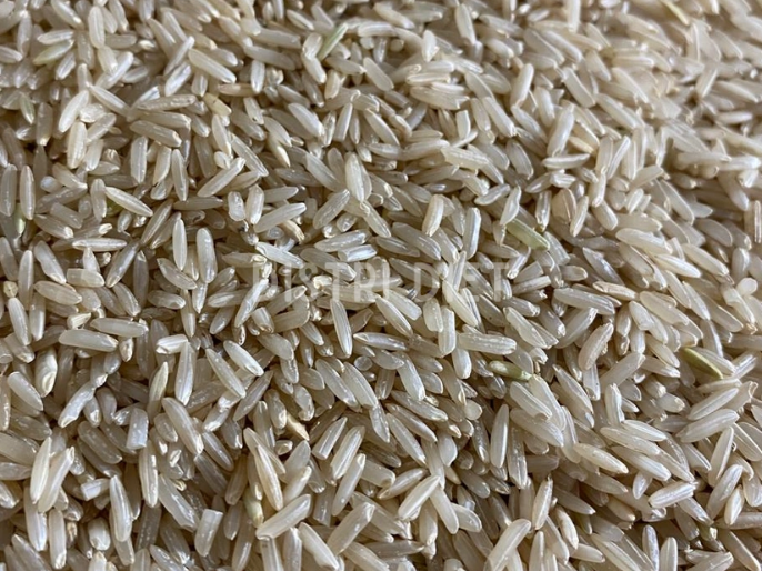 ARROZ LARGO FINO INTEGRAL