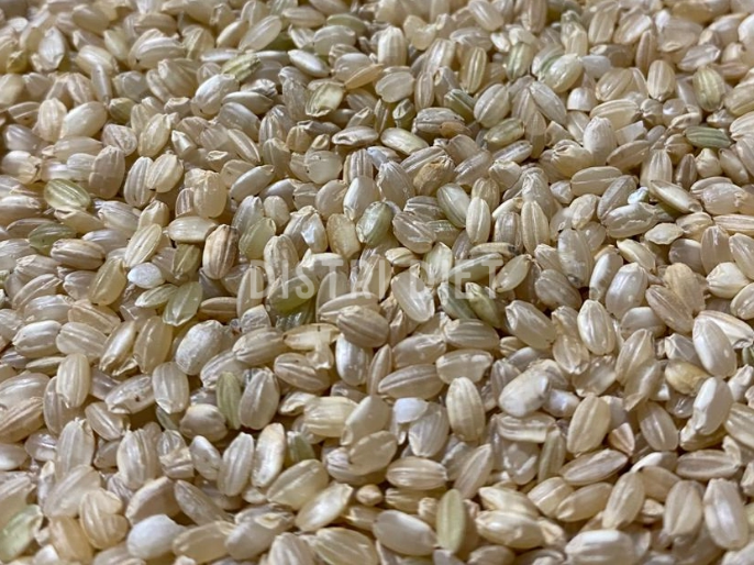 ARROZ YAMANI INTEGRAL
