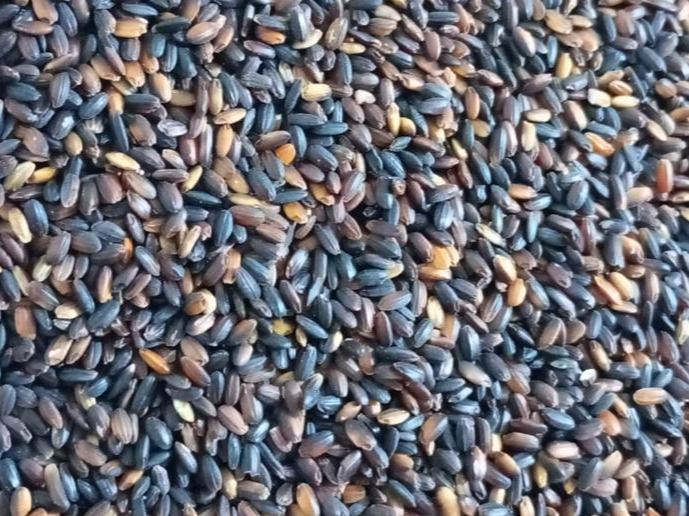 ARROZ NEGRO