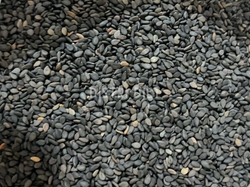 SEMILLA DE SESAMO NEGRO